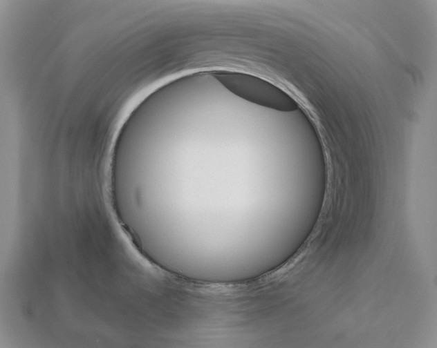 X0000112431536200909251526