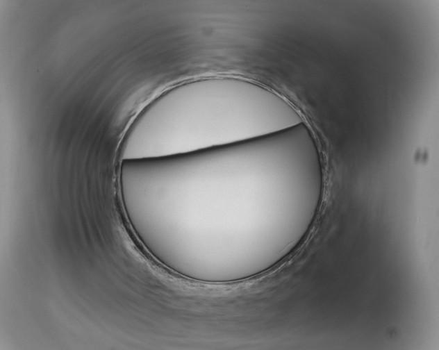 X0000112460002200908171027