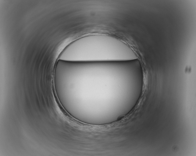 X0000112460003200908171027