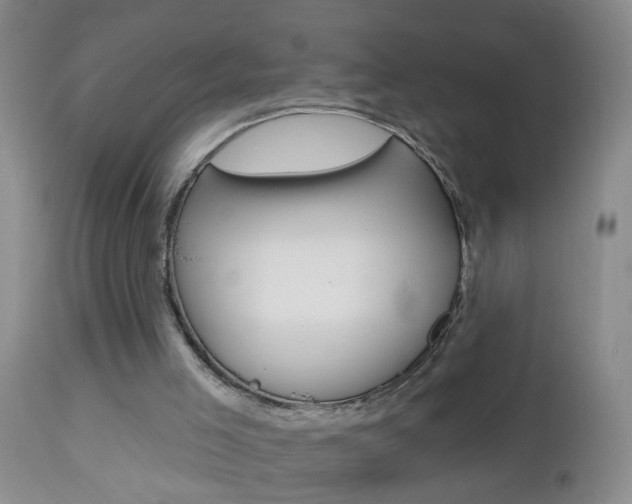 X0000112460005200908171027