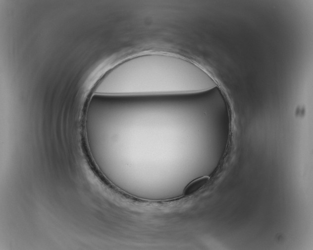 X0000112460007200908171027