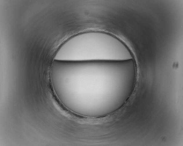 X0000112460009200908171027