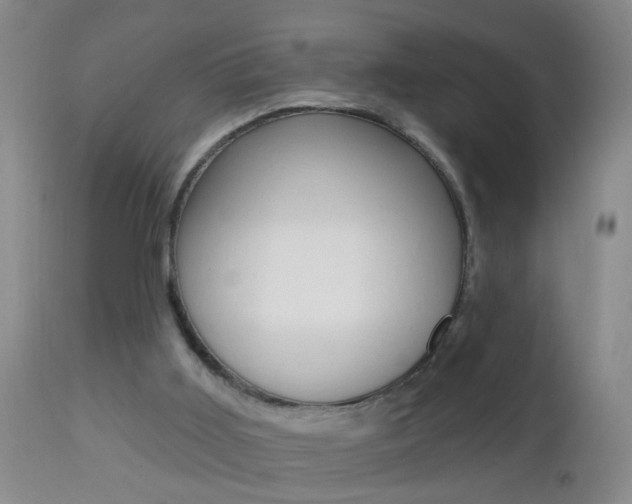 X0000112460011200908171027