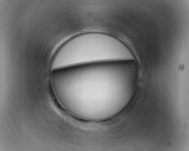 X0000112460012200908171027