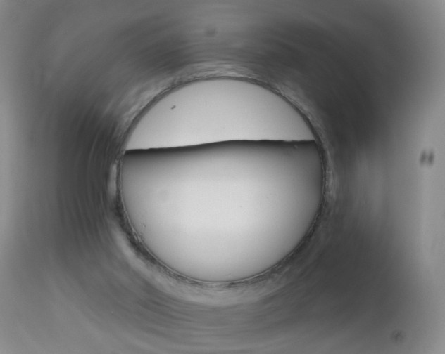 X0000112460014200908171027