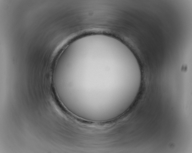 X0000112460016200908171027