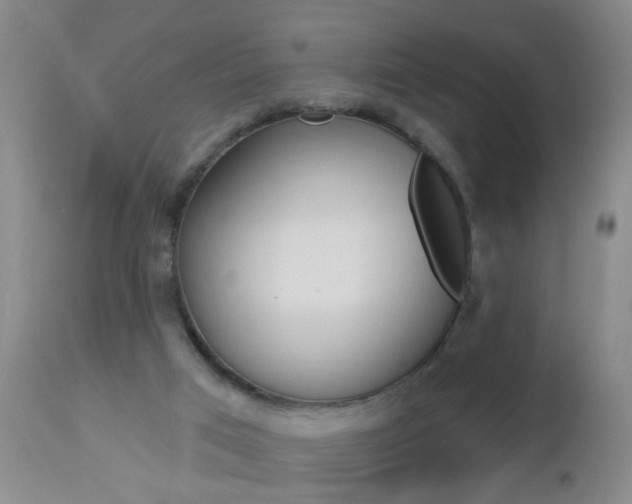 X0000112460017200908171027