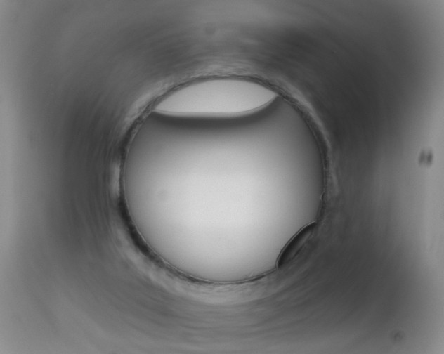 X0000112460019200908171027