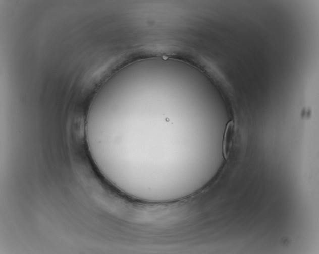 X0000112460021200908171027