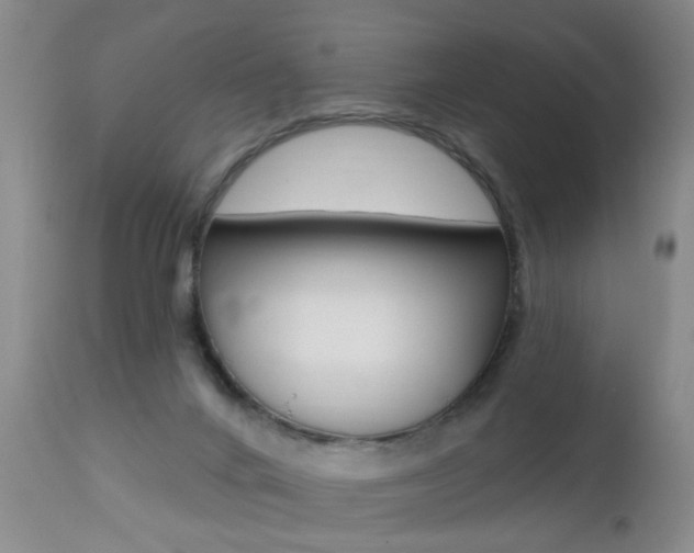 X0000112460024200908171027
