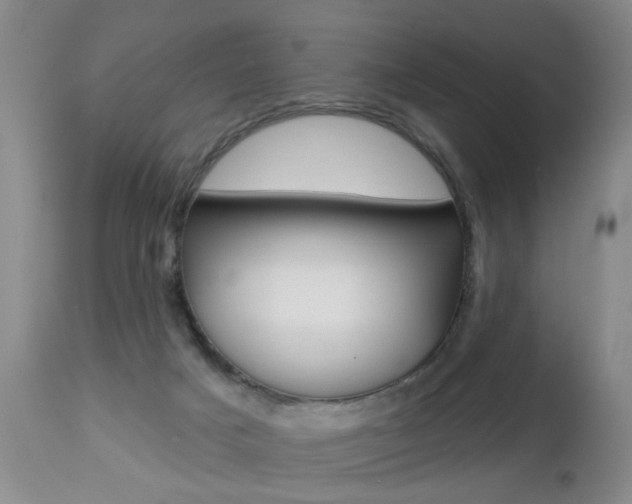 X0000112460025200908171027