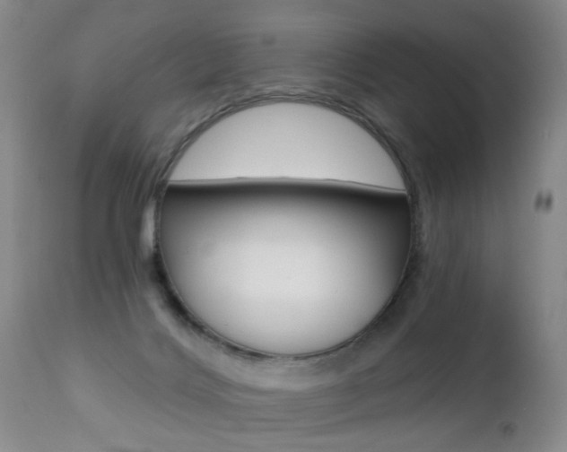 X0000112460028200908171027