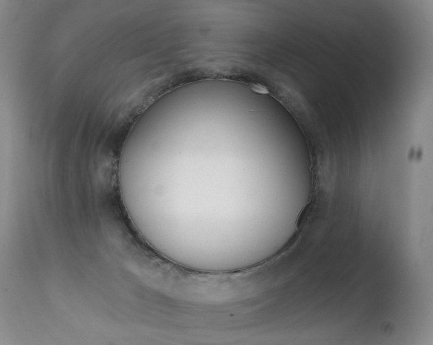 X0000112460029200908171027