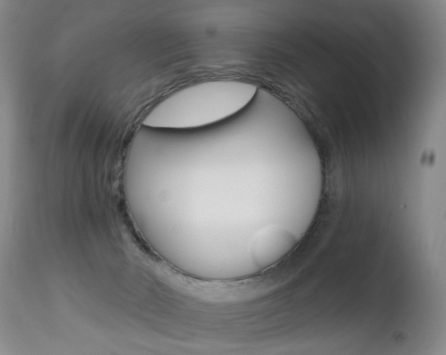 X0000112460030200908171027