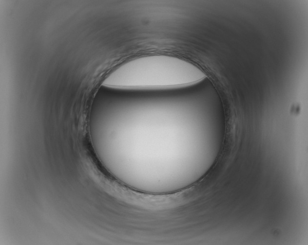 X0000112460031200908171027