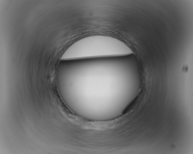 X0000112460033200908171027