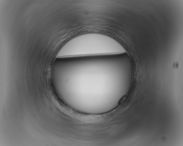 X0000112460036200908171027