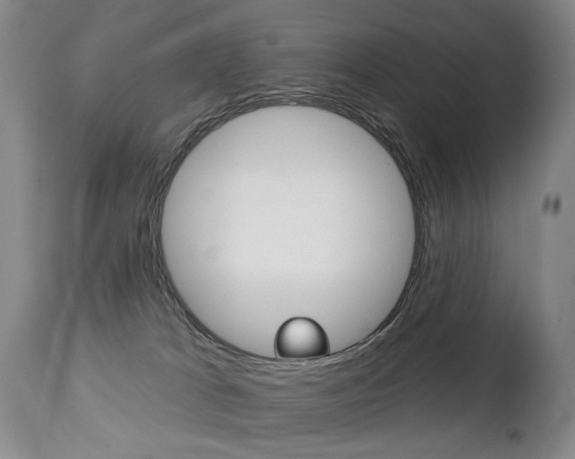 X0000112460037200908171027
