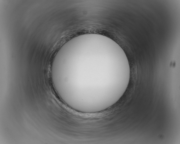 X0000112460038200908171026