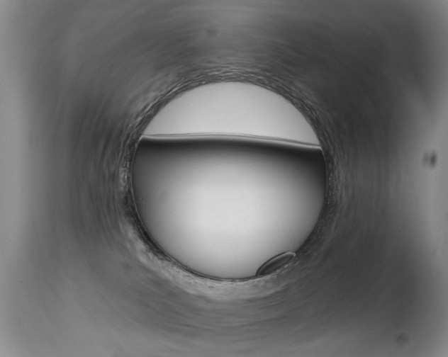 X0000112460039200908171026