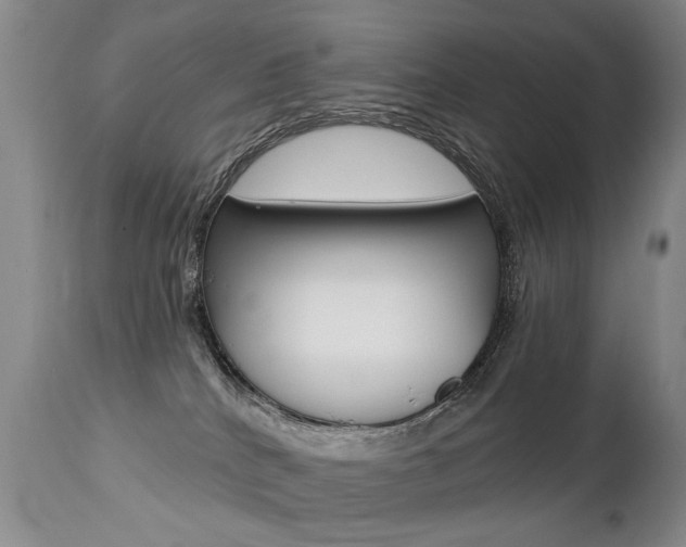X0000112460040200908171026