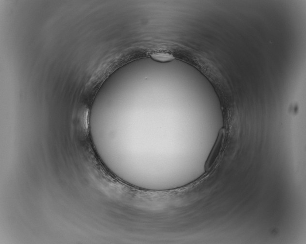 X0000112460041200908171026