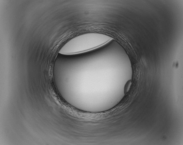 X0000112460044200908171026