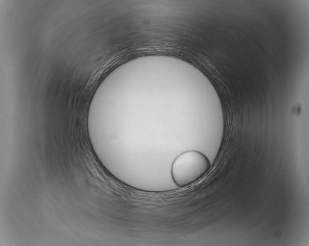 X0000112460045200908171026