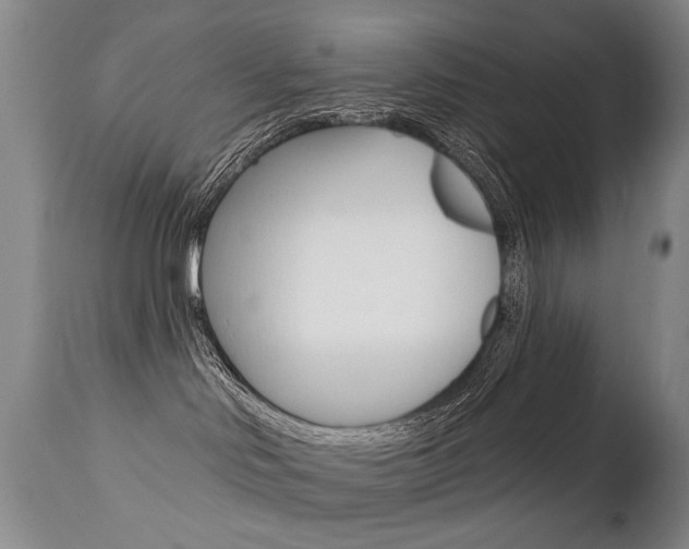 X0000112460046200908171026