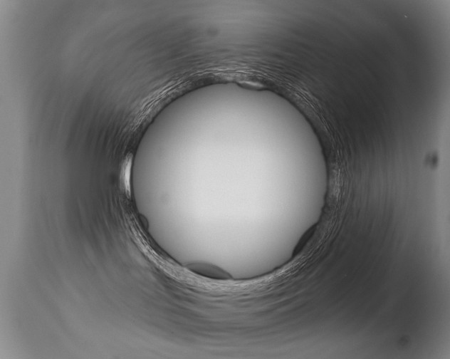X0000112460047200908171026