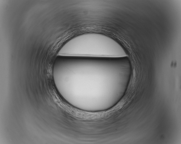 X0000112460048200908171026