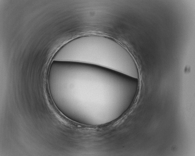 X0000112460049200908171026