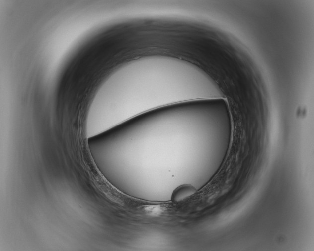 X0000112460050200908171026