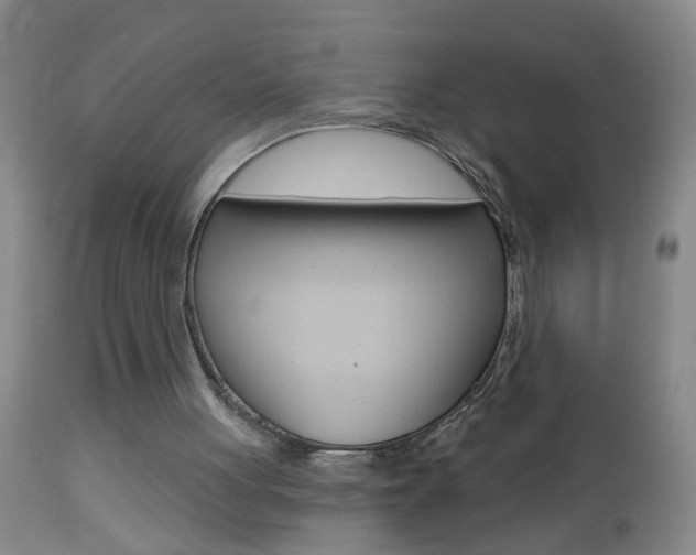 X0000112460051200908171026