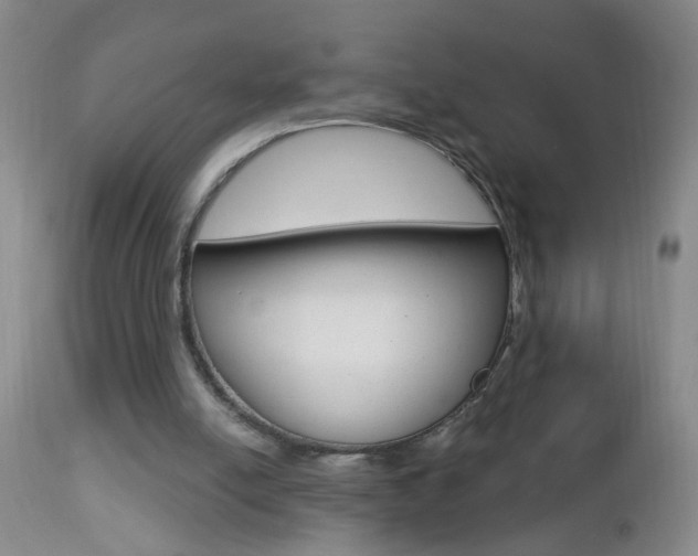 X0000112460054200908171026