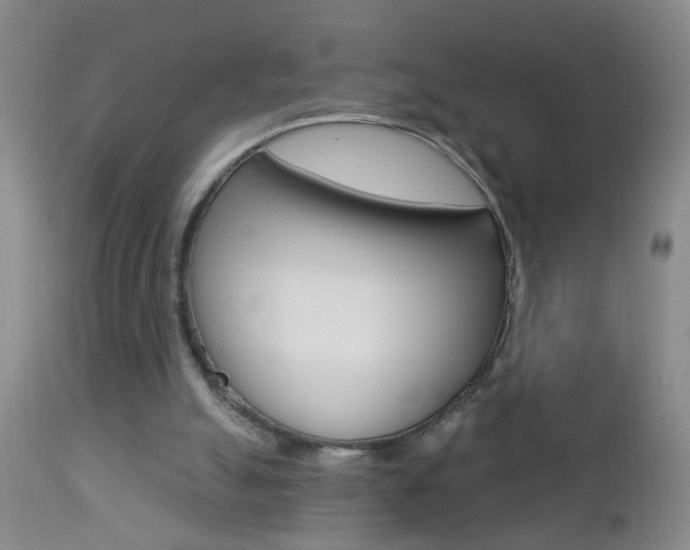 X0000112460055200908171026