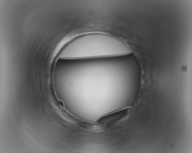 X0000112460056200908171026