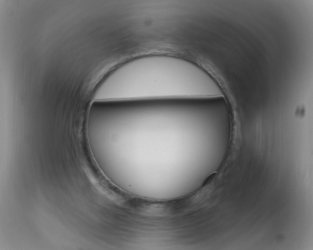 X0000112460058200908171026