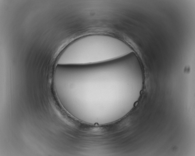 X0000112460059200908171026