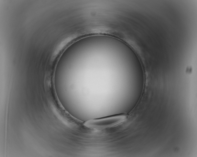 X0000112460060200908171026