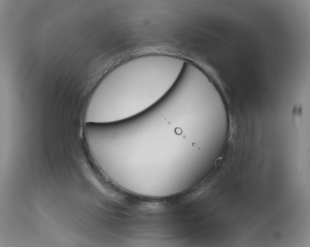 X0000112460061200908171026