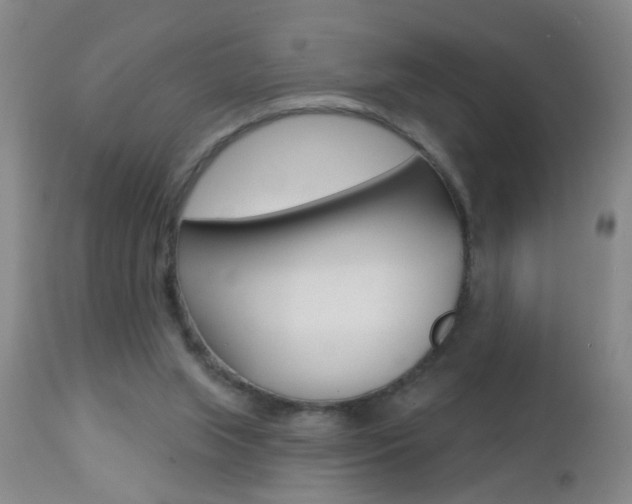 X0000112460063200908171026