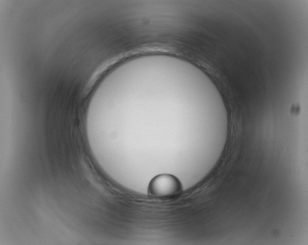 X0000112460064200908171026