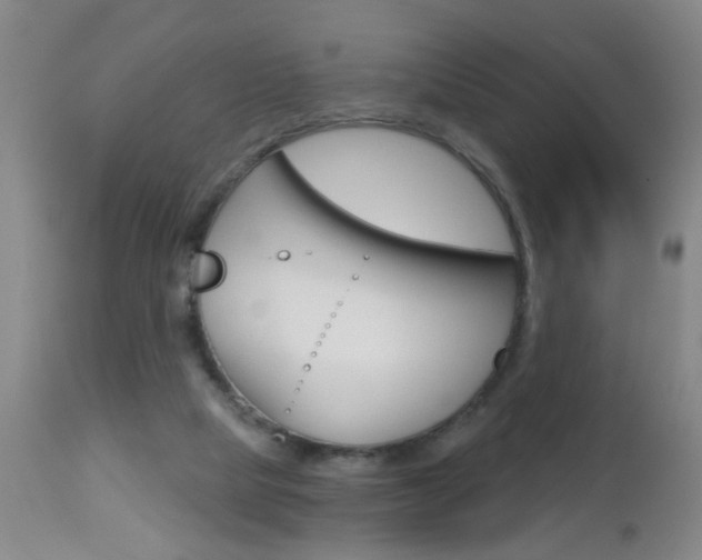 X0000112460065200908171026