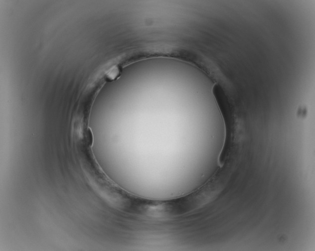 X0000112460068200908171026
