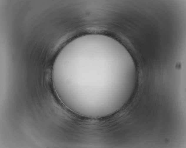 X0000112460071200908171026