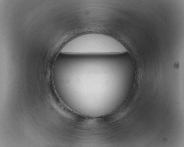 X0000112460072200908171026