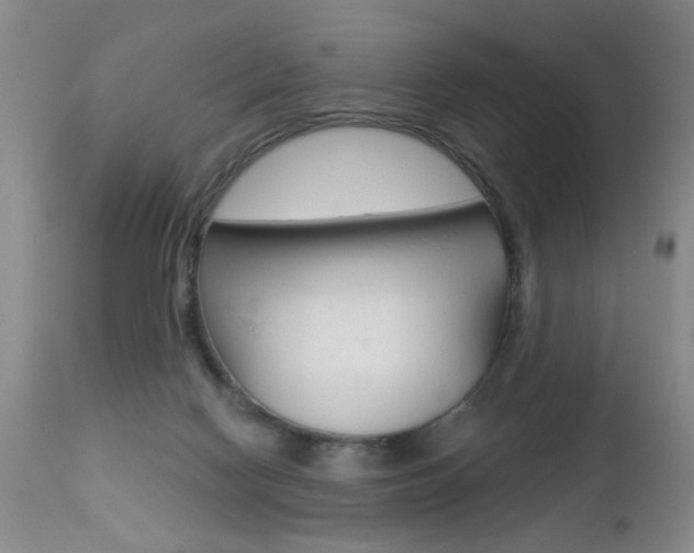 X0000112460074200908171026