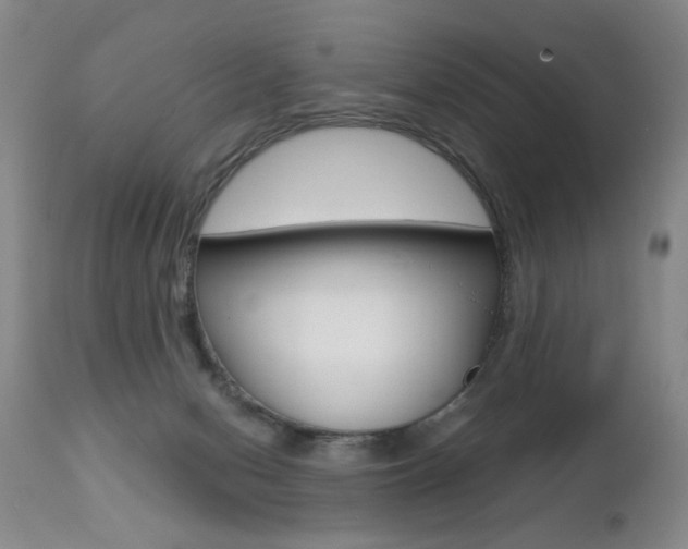 X0000112460078200908171026