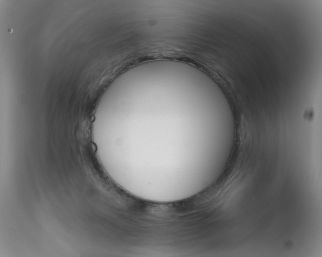 X0000112460079200908171026
